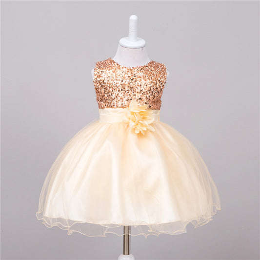Bebixi Baby Sequin Flower Girl Princess Wedding Dress